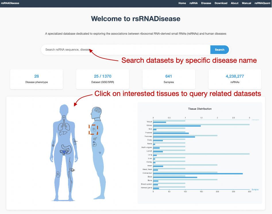 Disease Type