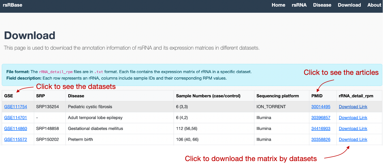 Dataset